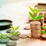 Nguồn Vốn Xanh: Định Nghĩa, Tầm Quan Trọng và Xu Hướng Tương Lai